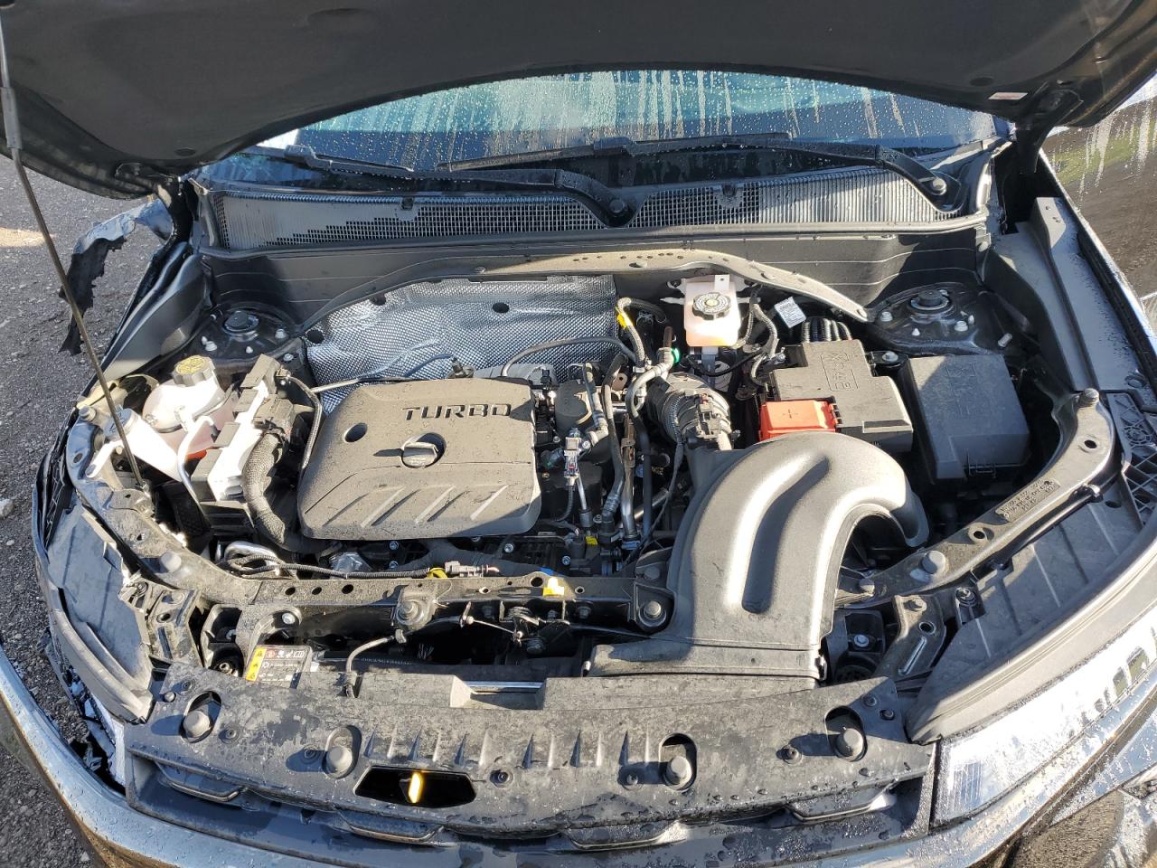 2025 Chevrolet Trailblazer Activ VIN: KL79MVSL8SB037477 Lot: 71058075