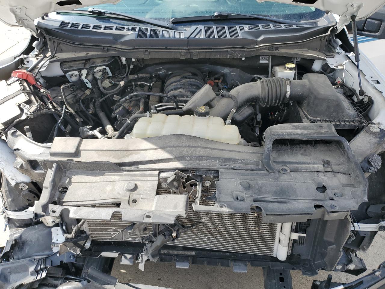 2023 Ford F150 Super Cab VIN: 1FTEX1C56PKE54198 Lot: 70780685