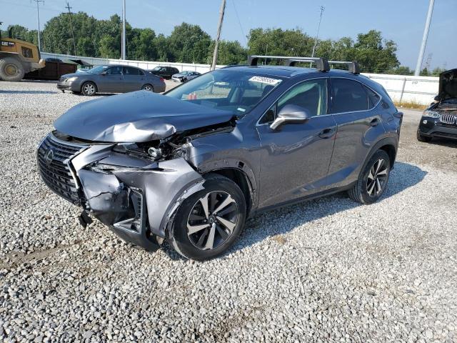 LEXUS NX 300 BAS 2021