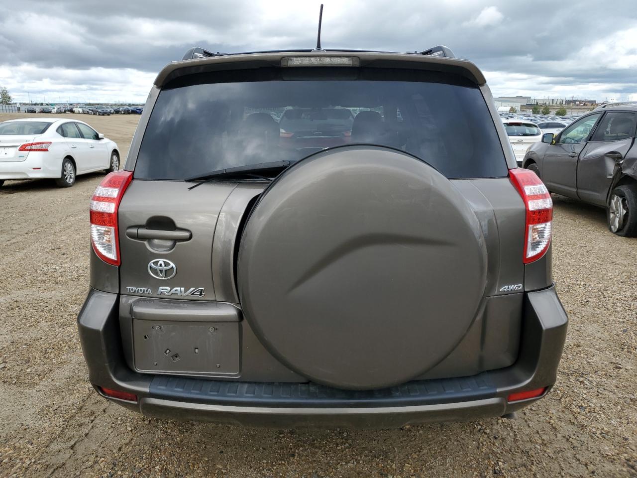 2010 Toyota Rav4 VIN: 2T3BF4DV6AW075187 Lot: 65873415