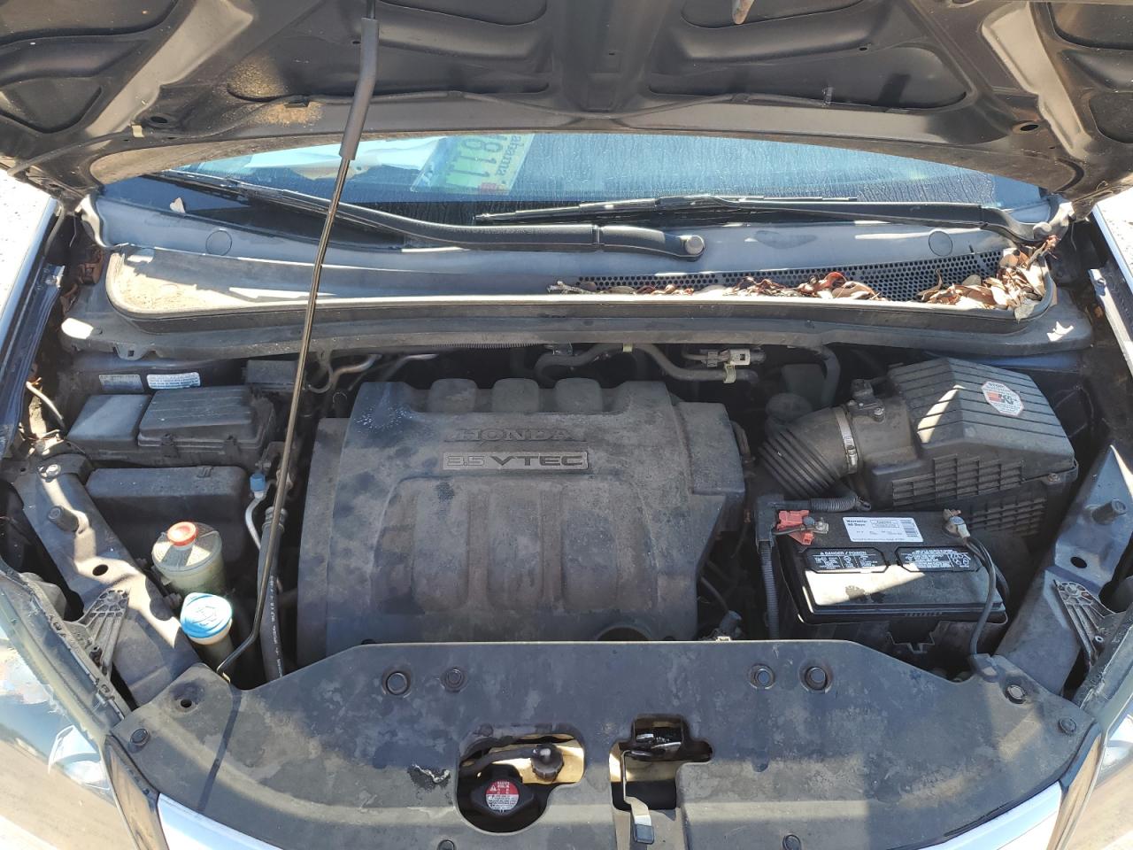 2009 Honda Odyssey Ex VIN: 5FNRL38459B043691 Lot: 66936305