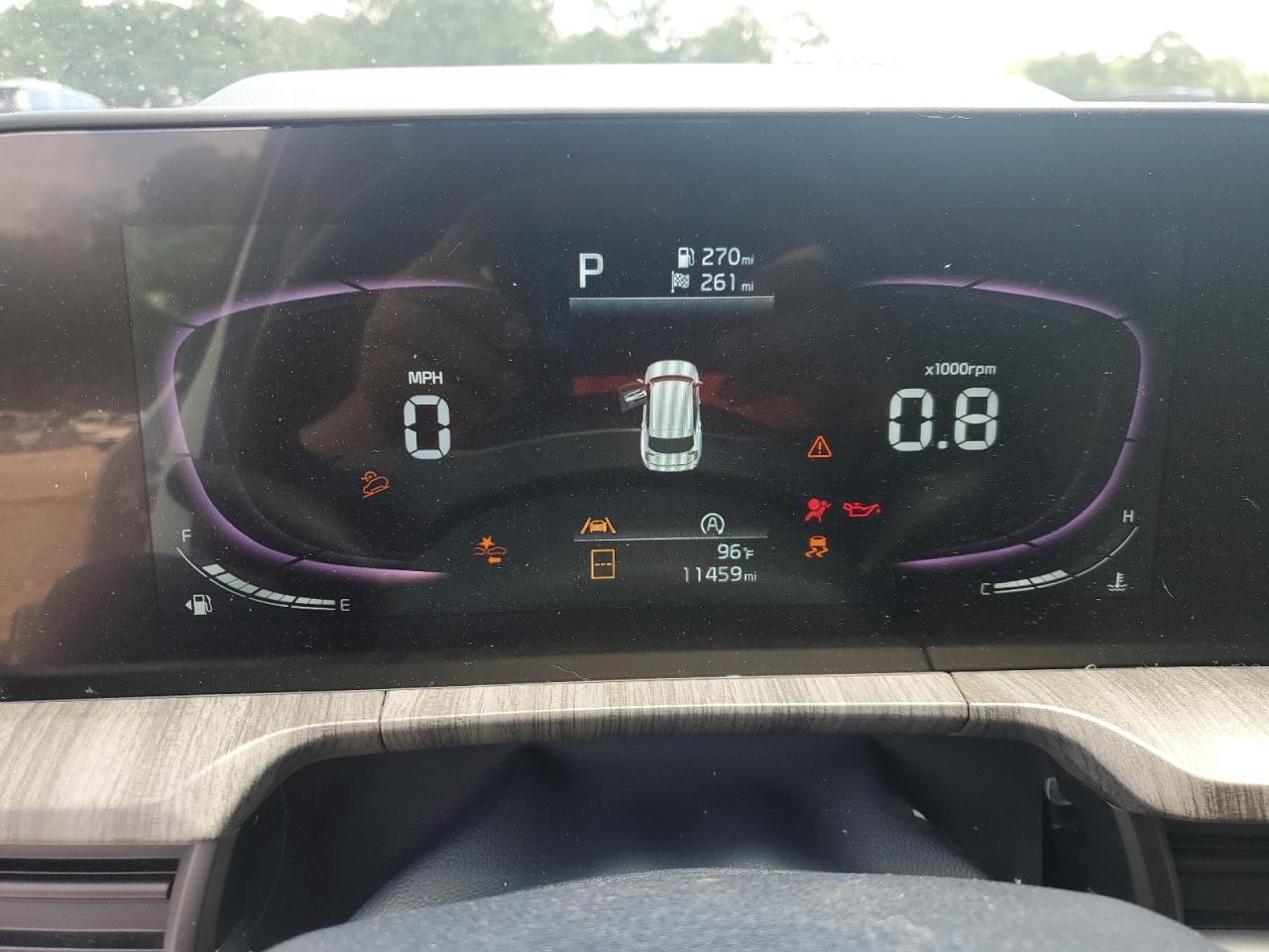 2024 Kia Telluride Ex VIN: 5XYP3DGC5RG491590 Lot: 67259165