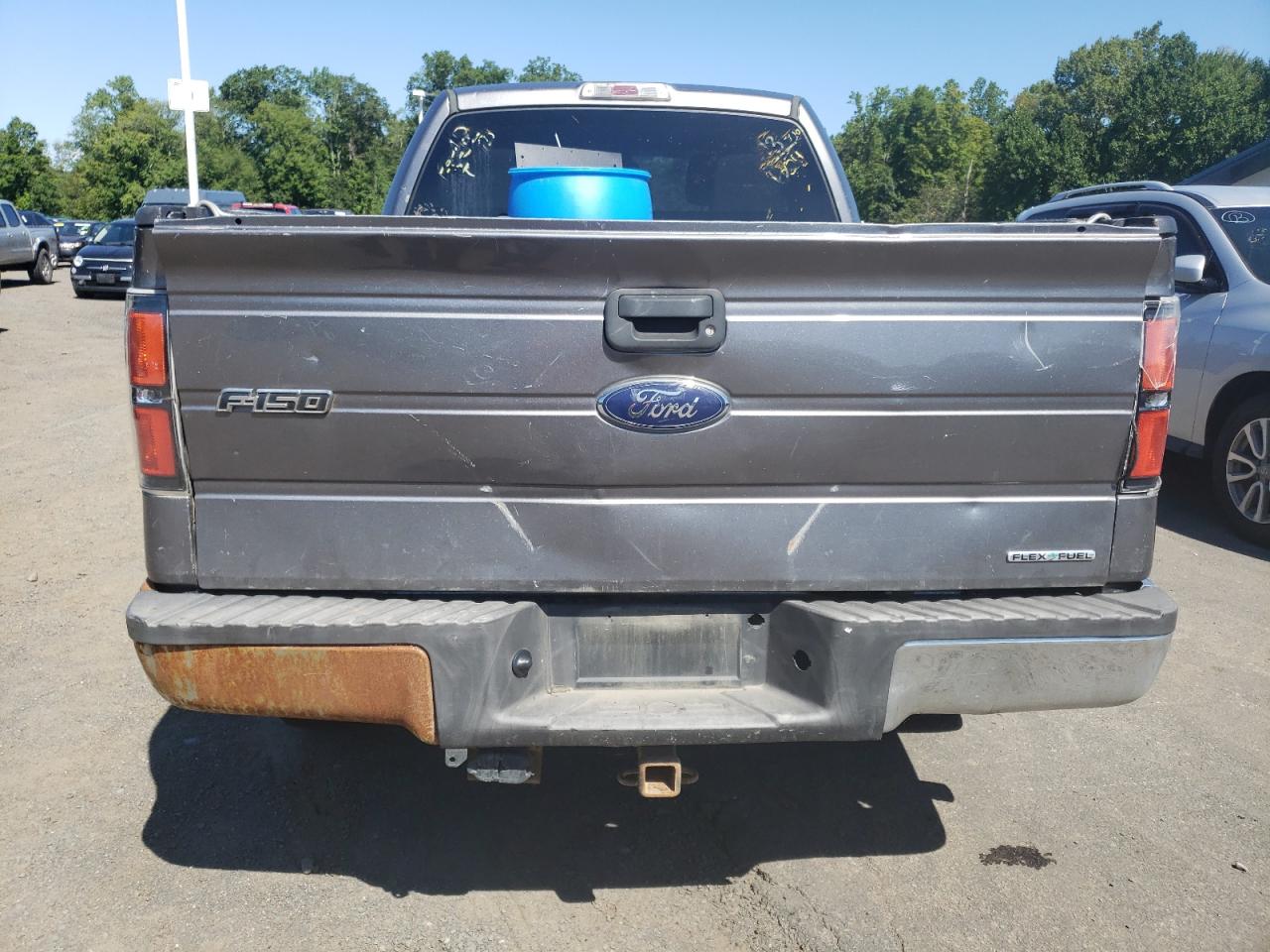 2013 Ford F150 Super Cab VIN: 1FTFX1EF1DFC73900 Lot: 69986025