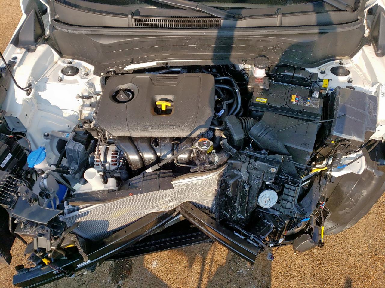 2025 Kia Seltos Ex VIN: KNDERCAAXS7801856 Lot: 67815245