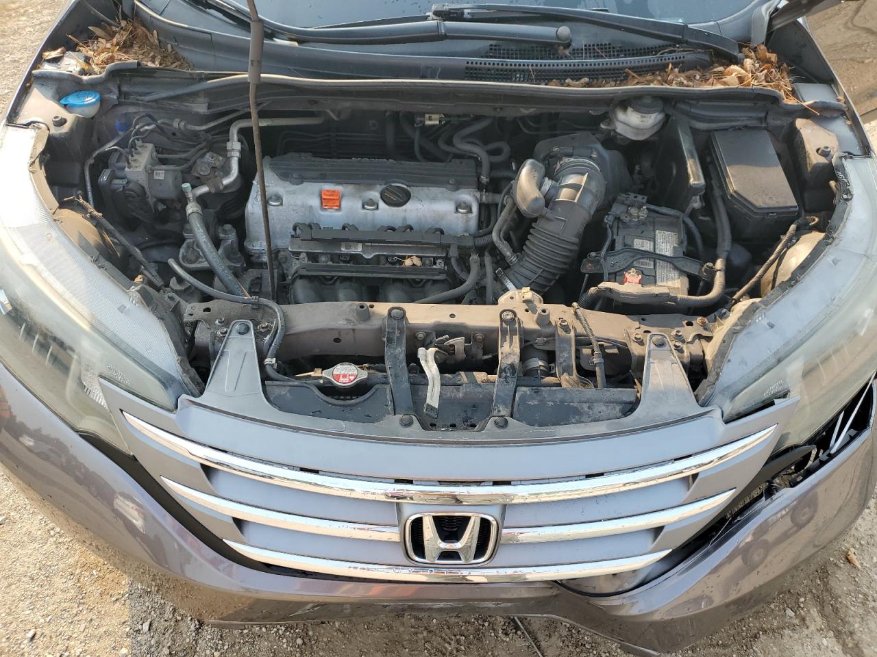 2014 Honda Cr-V Lx VIN: 2HKRM4H3XEH695924 Lot: 67065605