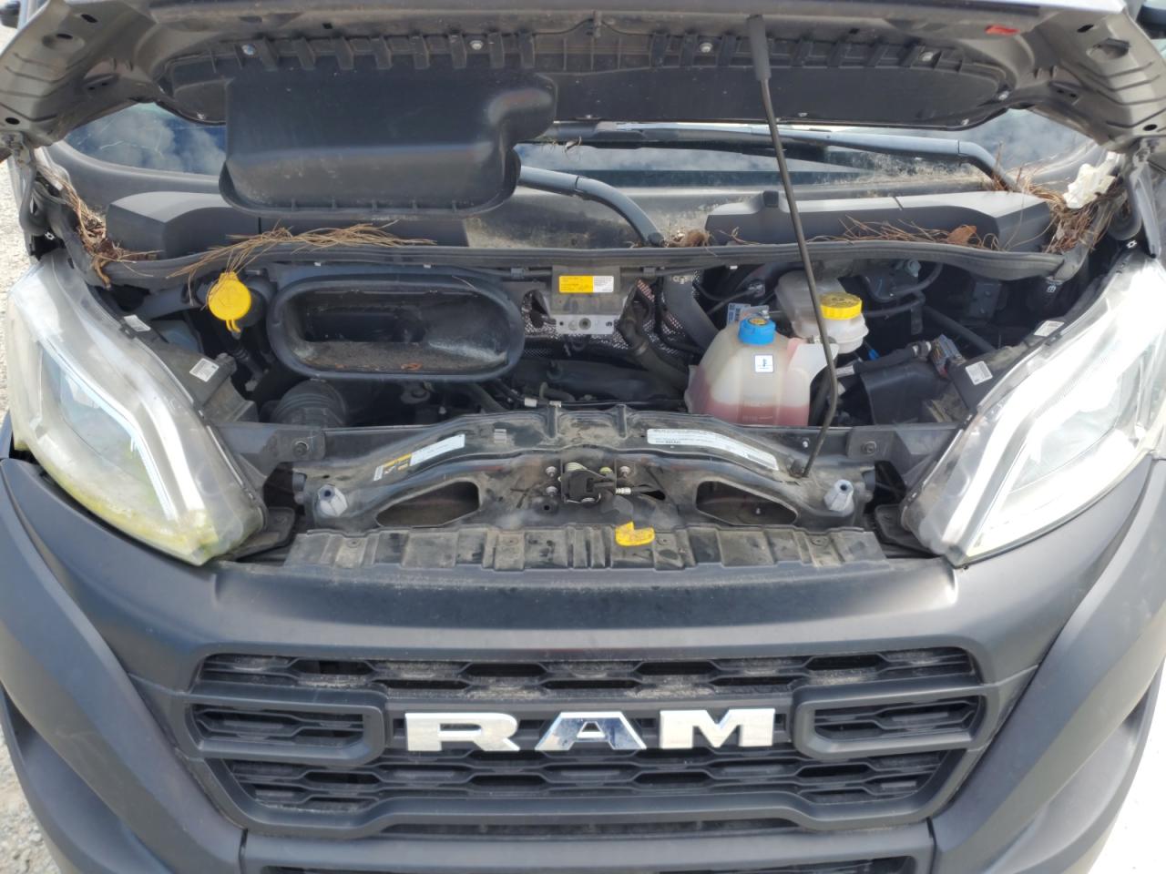 2023 Ram Promaster - Trucks Delivery Van VIN: 3C6LRVDGXSE505052 Lot: 66517815