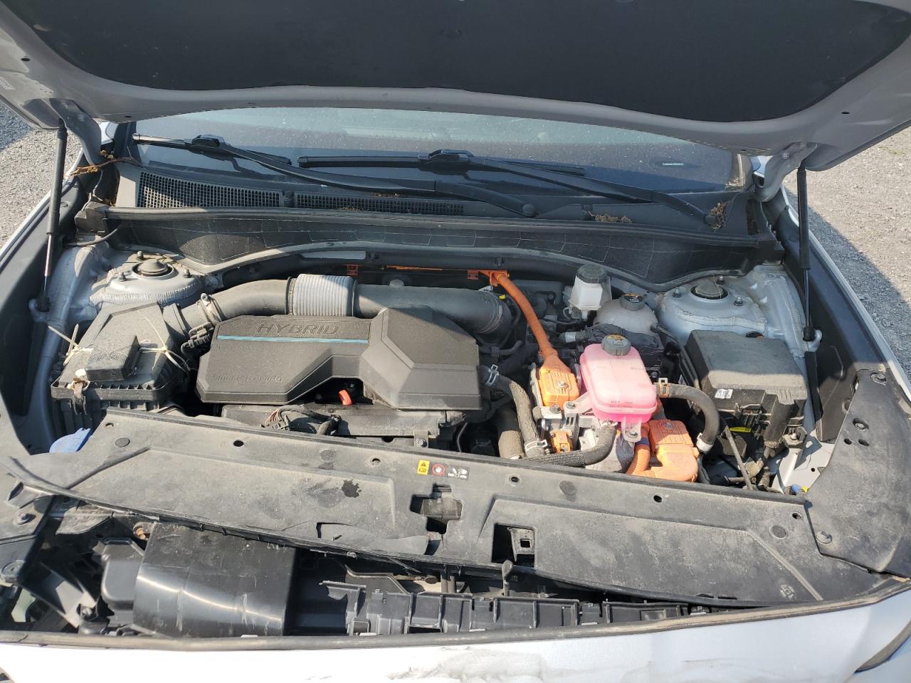 2022 Hyundai Santa Fe Blue VIN: KM8S2DA13NU026430 Lot: 65977175