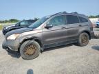 2011 HONDA CR-V EXL   for sale at Copart ON - OTTAWA
