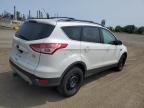 2014 FORD ESCAPE SE   à vendre chez Copart QC - MONTREAL