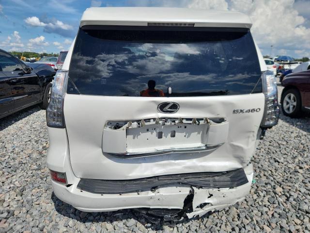 LEXUS GX 2020 Biały