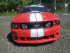 2007 FORD MUSTANG GT   for sale at Copart NY - NEWBURGH