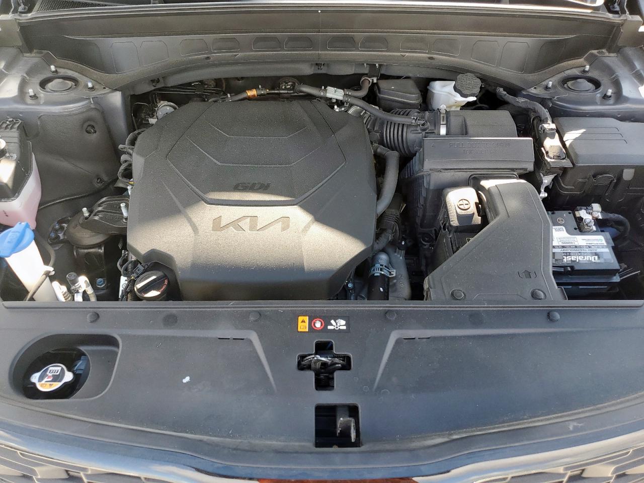2022 Kia Telluride Sx VIN: 5XYP5DHC2NG273433 Lot: 68962245