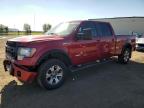 2014 FORD F150 SUPERCREW   for sale at Copart AB - CALGARY