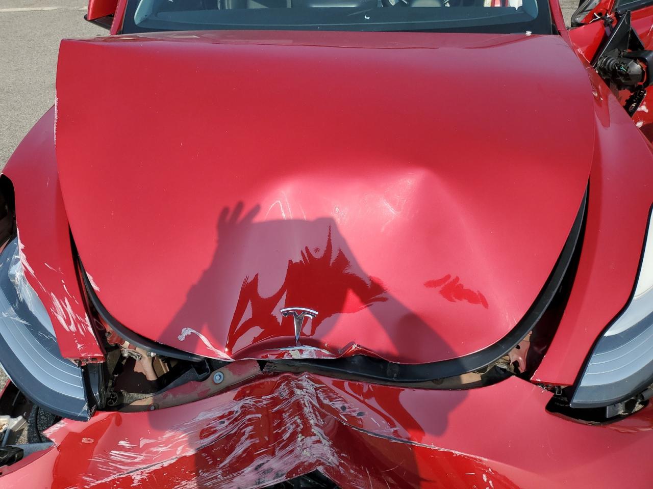 2021 Tesla Model Y VIN: 5YJYGDEE8MF115494 Lot: 67300765