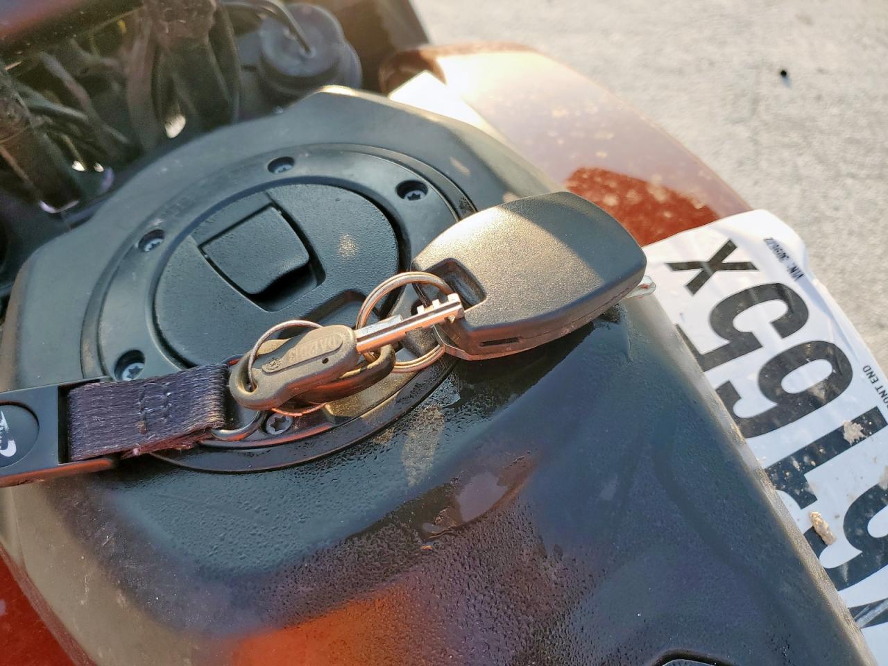 2024 Harley-Davidson Ra1250 S VIN: 1HD1ZES17RB309672 Lot: 70176165