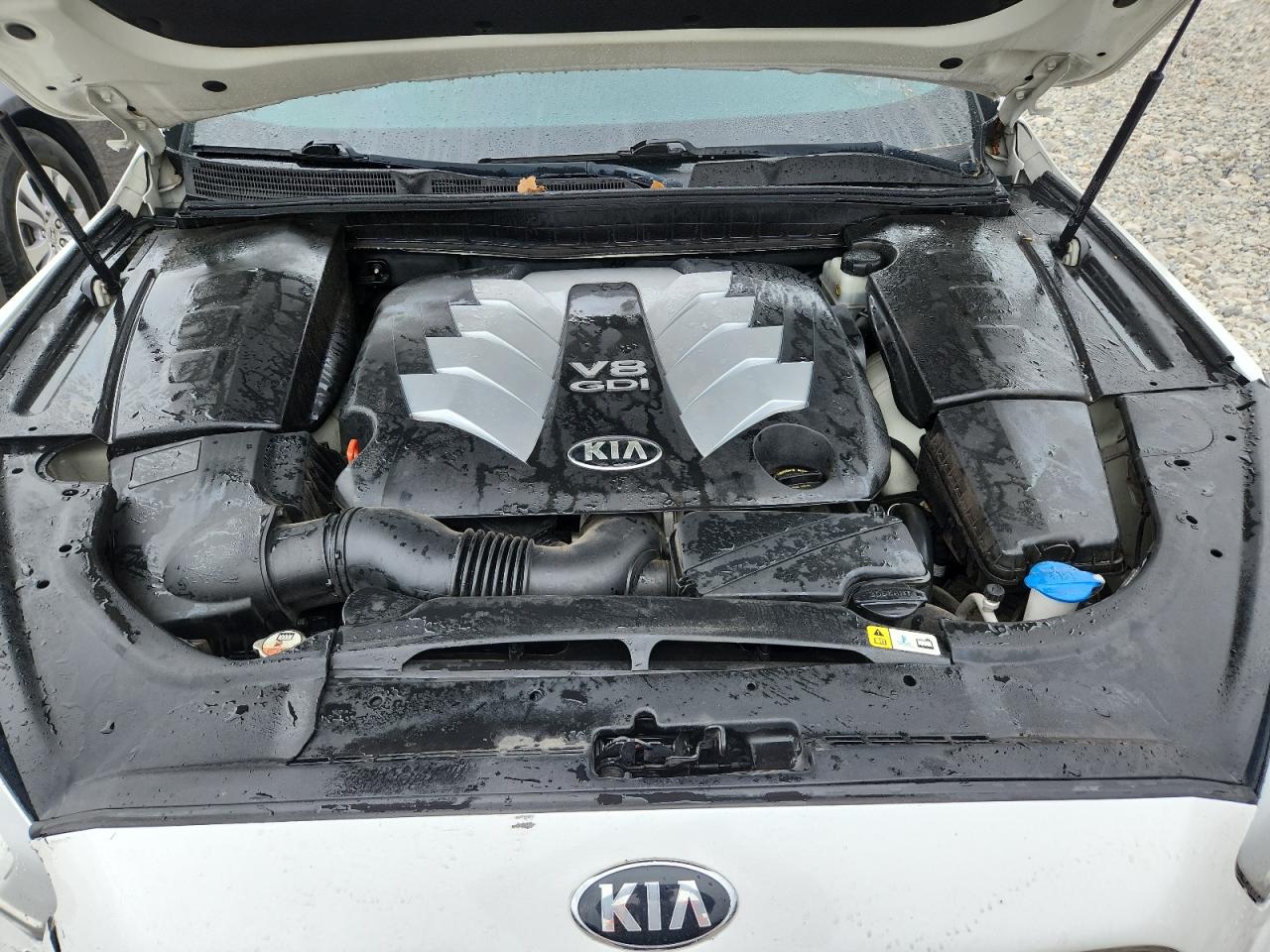 2015 Kia K900 VIN: KNALW4D47F6022774 Lot: 69470445