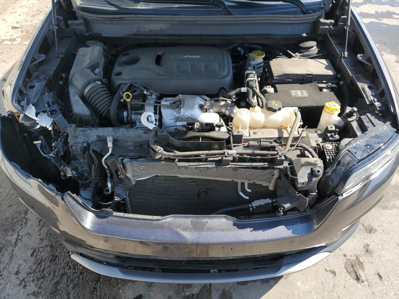 2021 Jeep Cherokee Limited VIN: 1C4PJMDN4MD146196 Lot: 67082125