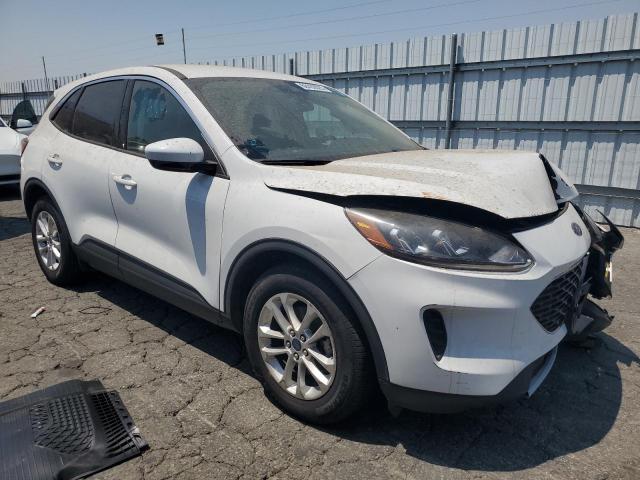  FORD ESCAPE 2021 Белы