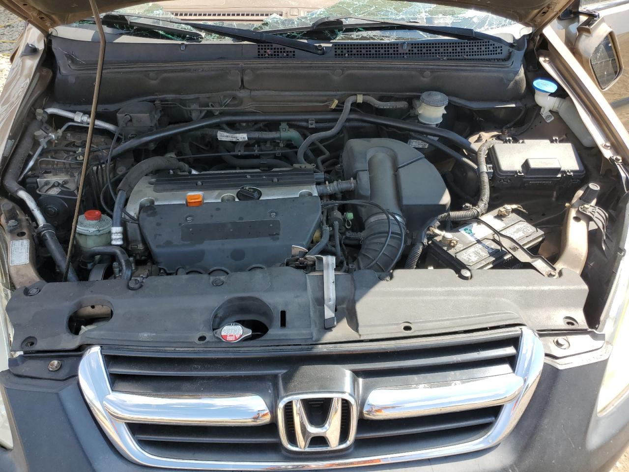 2004 Honda Cr-V Ex VIN: SHSRD78814U217409 Lot: 69141725