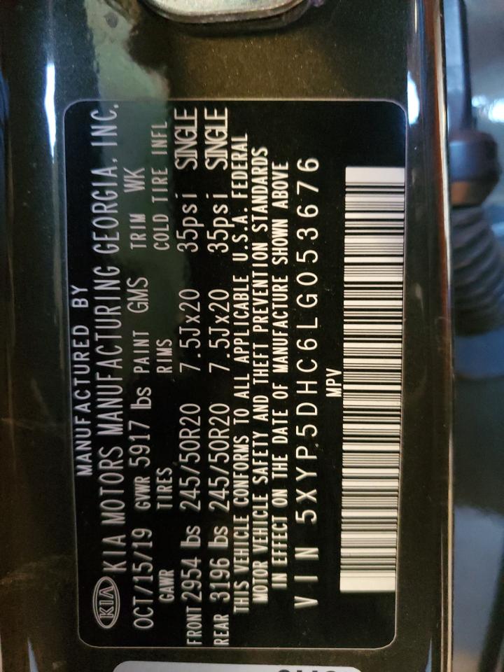 2020 Kia Telluride Sx VIN: 5XYP5DHC6LG053676 Lot: 69737175