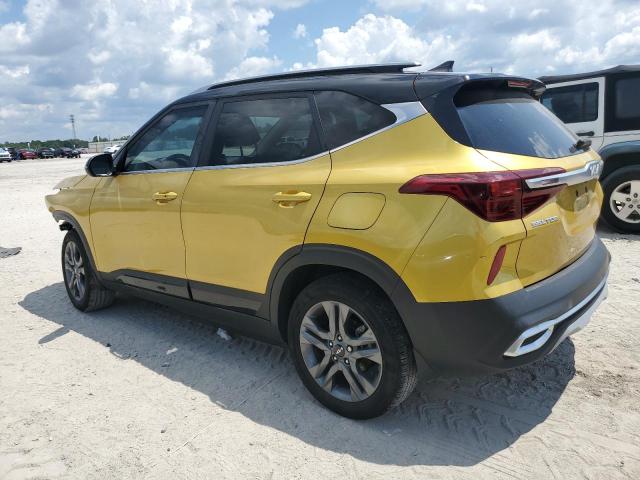  KIA SELTOS 2023 Złoty