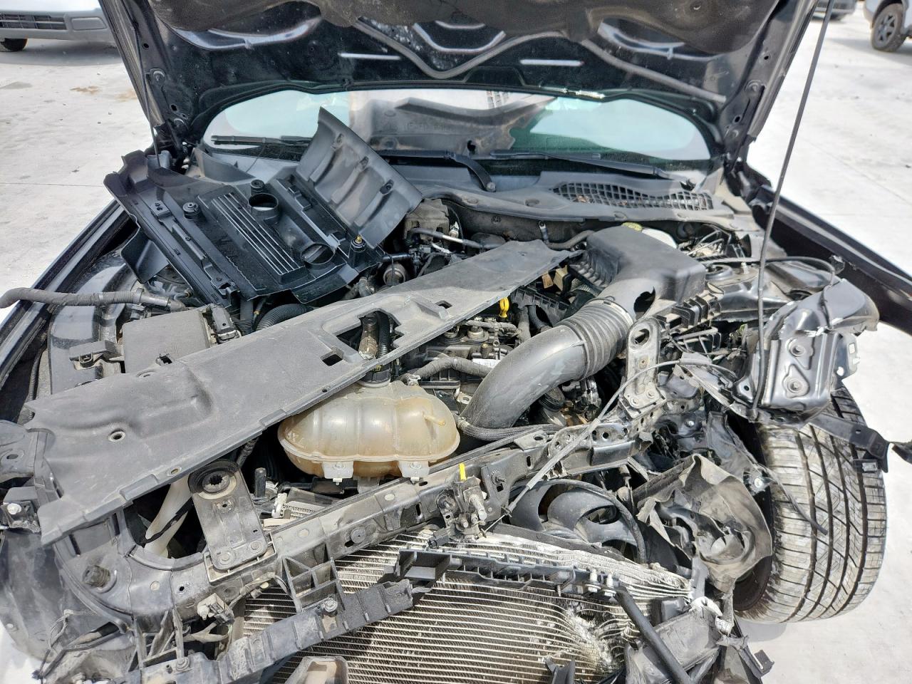 2019 Ford Mustang VIN: 1FA6P8TH4K5143258 Lot: 68691245