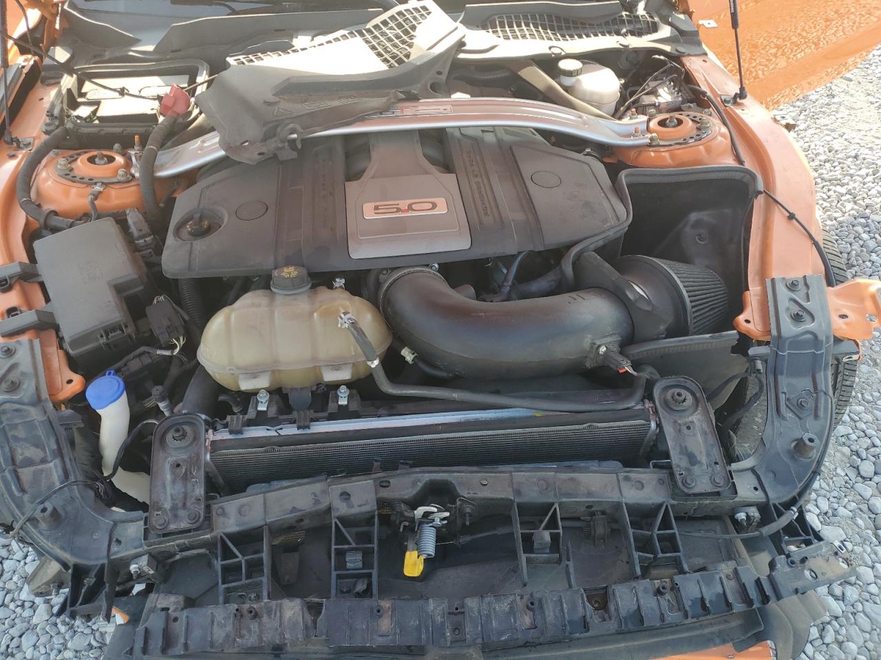 2020 Ford Mustang Gt VIN: 1FA6P8CF8L5113793 Lot: 67897905