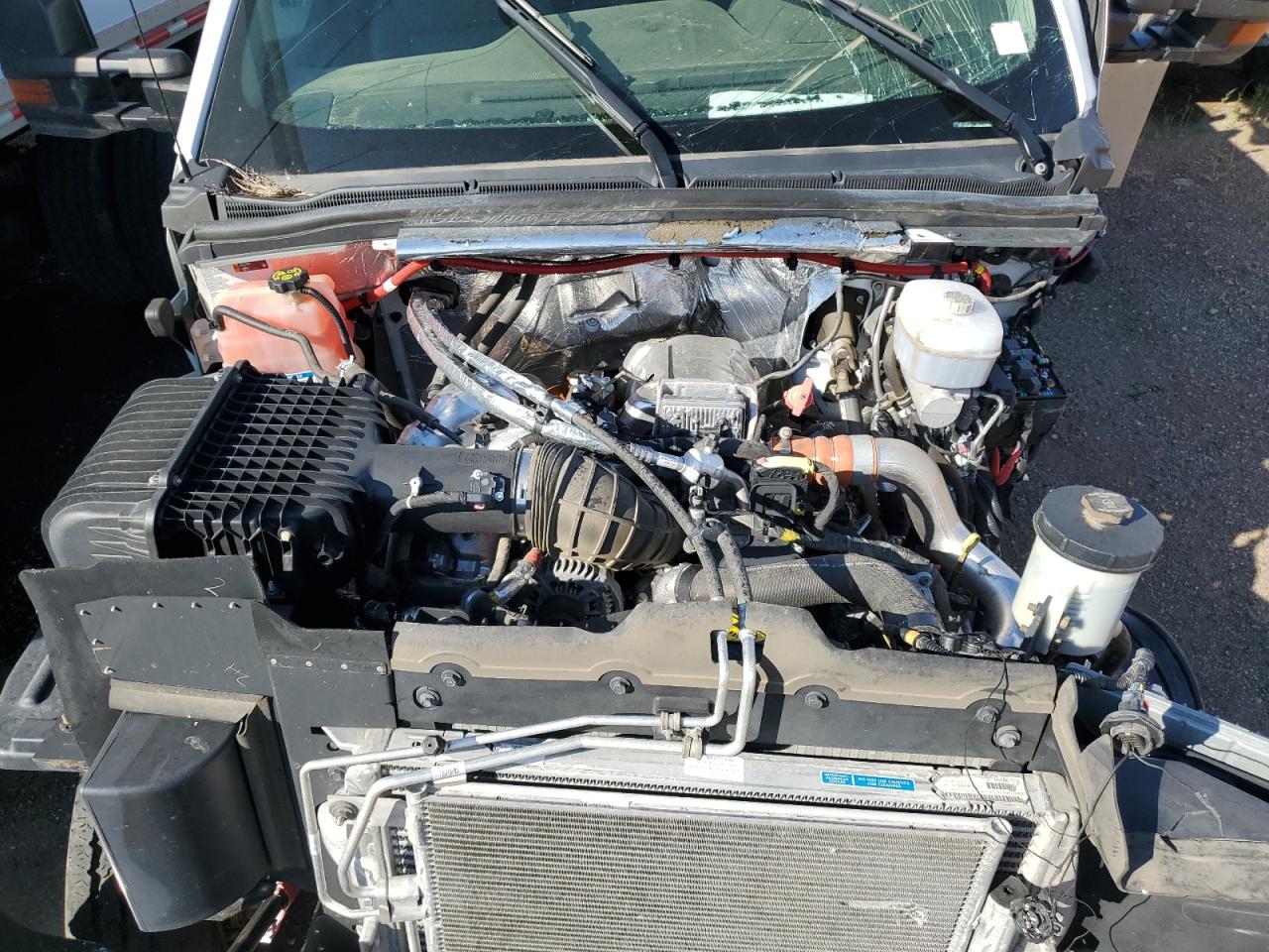 2022 Chevrolet Silverado Medium Duty VIN: 1HTKJPVK5NH627636 Lot: 67313455