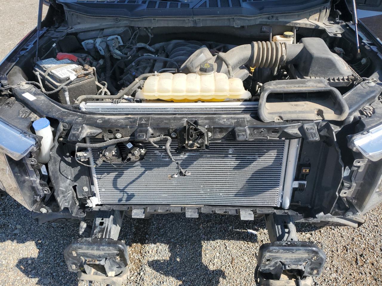 2021 Ford F150 Supercrew VIN: 1FTFW1E56MFB63449 Lot: 67171245