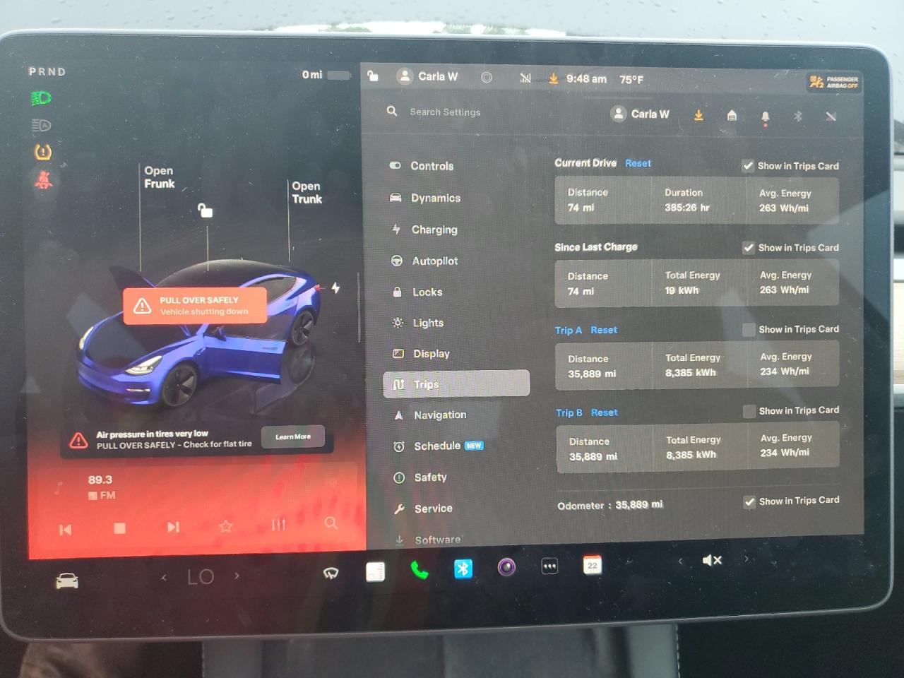 2023 Tesla Model 3 VIN: 5YJ3E1EA4PF684438 Lot: 69428535