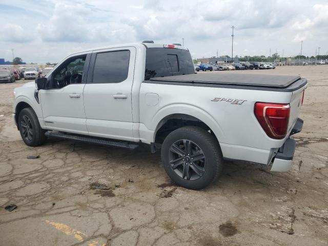  FORD F-150 2023 Бежевый