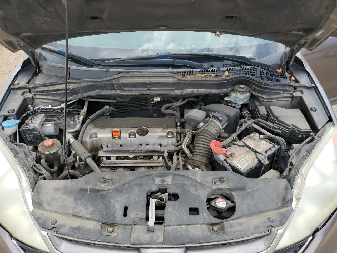 2010 Honda Cr-V Exl VIN: 5J6RE3H77AL019196 Lot: 67810945