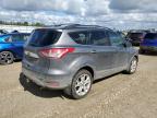 2013 FORD ESCAPE SEL   for sale at Copart AB - EDMONTON