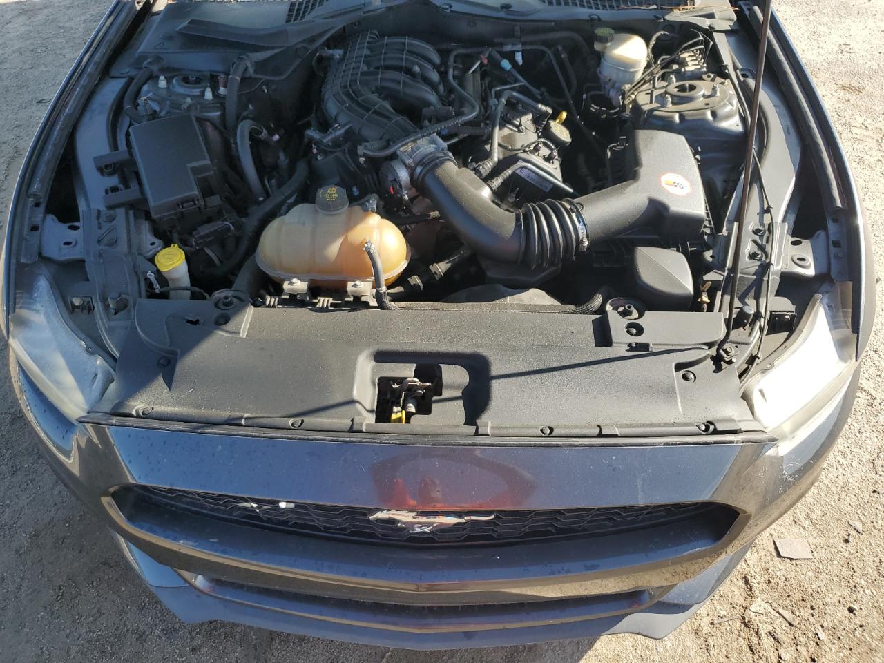 2015 Ford Mustang VIN: 1FA6P8AM8F5304619 Lot: 68827565