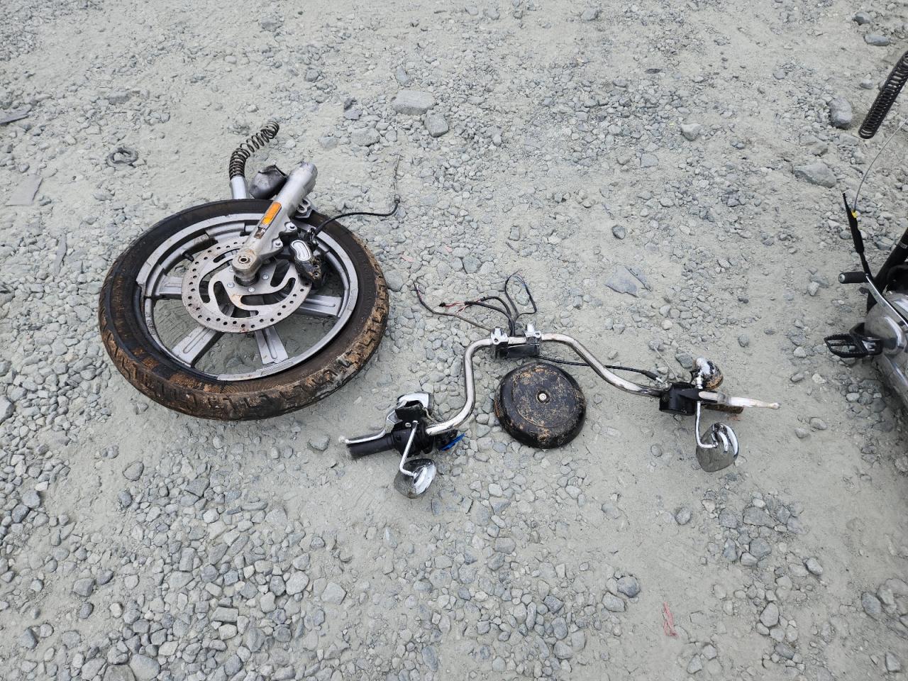 2024 Harley-Davidson Fxst VIN: 1HD1BVJ12RB040339 Lot: 67179665