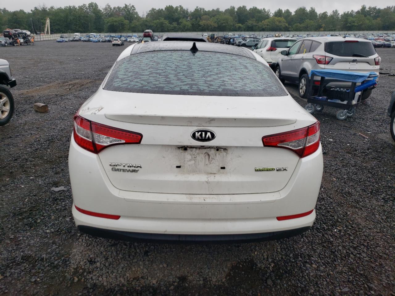2013 Kia Optima Hybrid VIN: KNAGM4AD6D5046210 Lot: 69239055