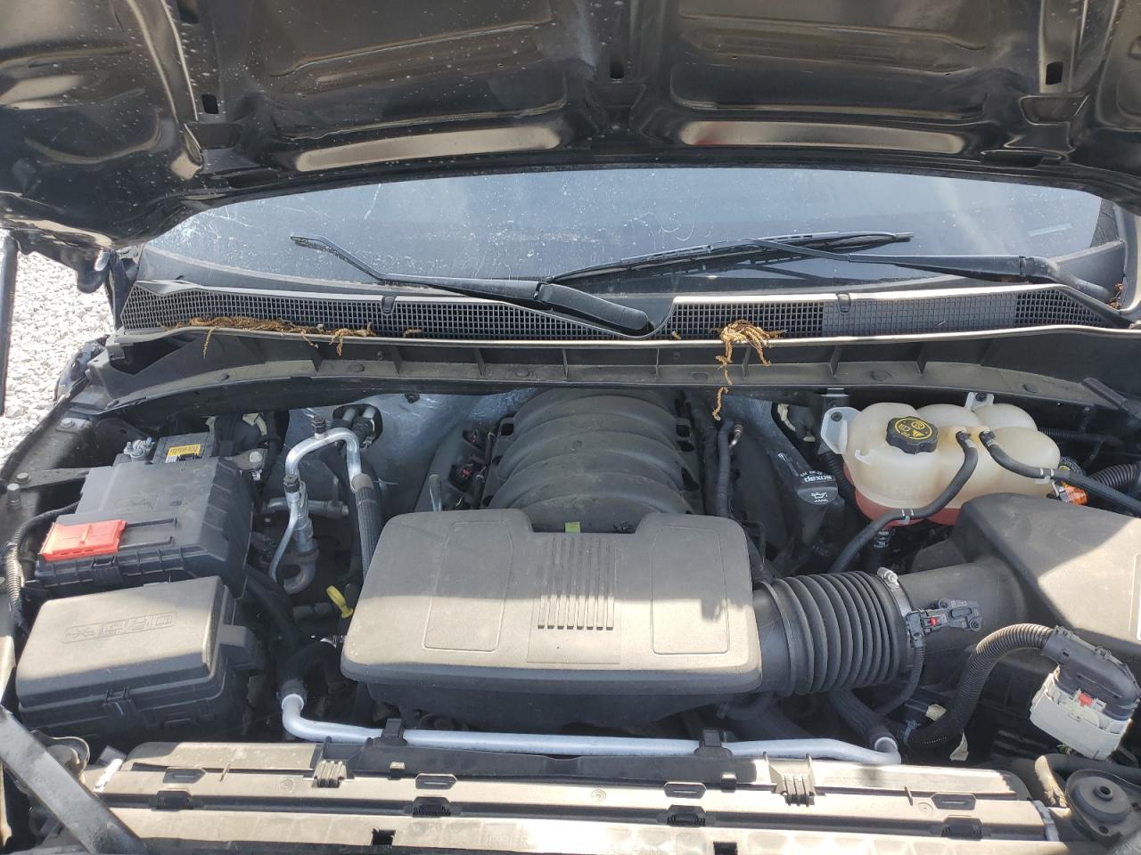 2021 Chevrolet Silverado K1500 Trail Boss Custom VIN: 1GCPYCEF3MZ376697 Lot: 70347465