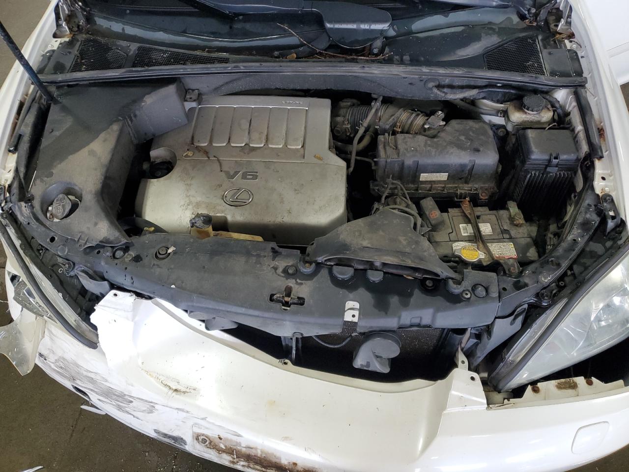 2007 Lexus Rx 350 VIN: 2T2HK31U37C043243 Lot: 70016075