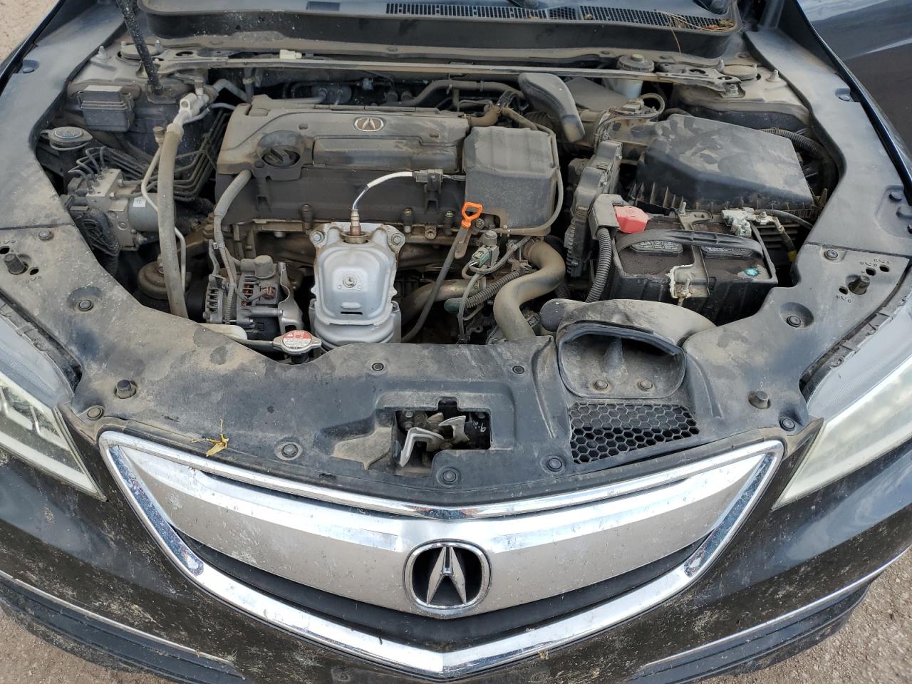 2015 Acura Tlx VIN: 19UUB1F39FA005317 Lot: 65128375