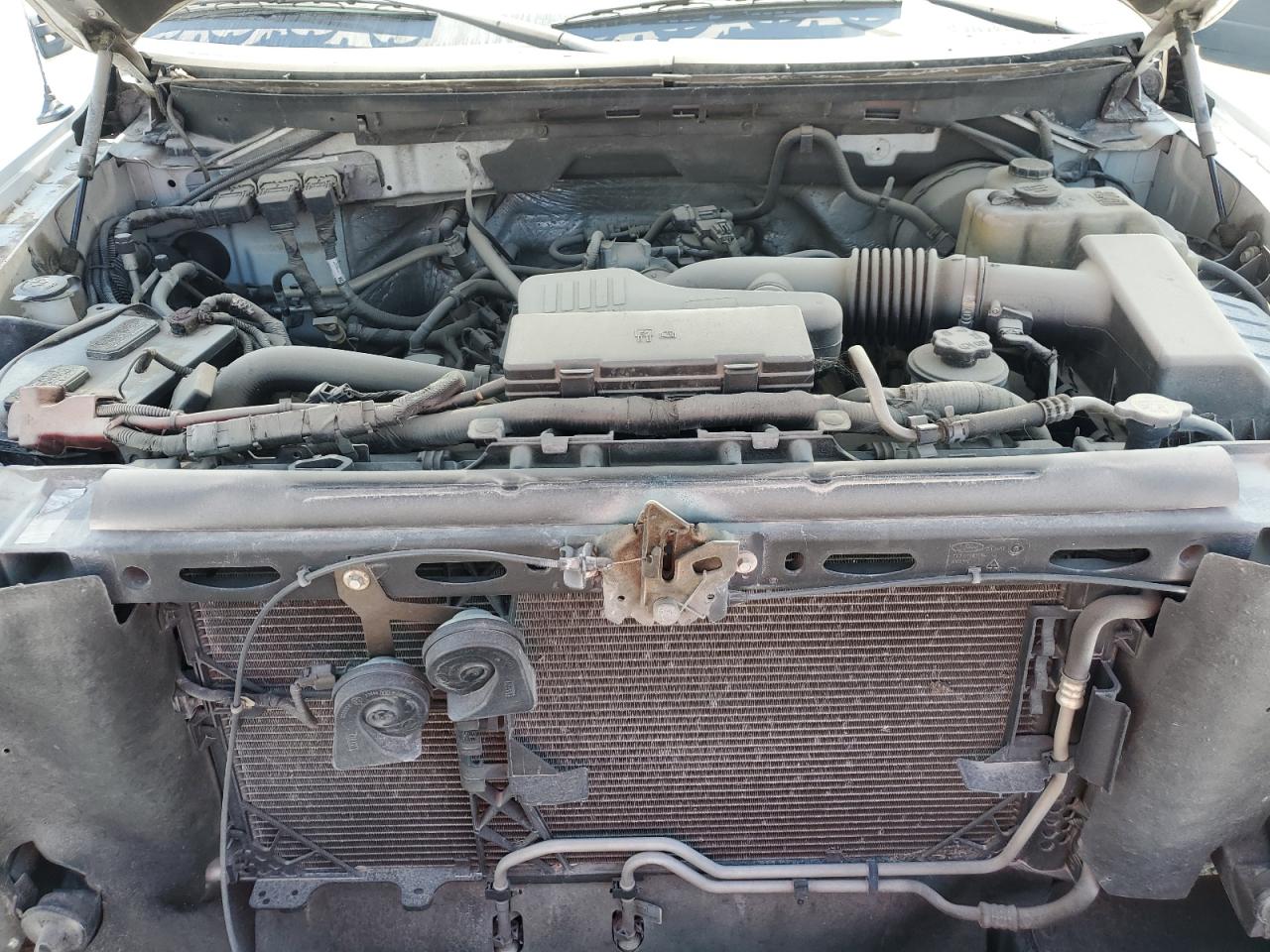 2010 Ford F150 VIN: 1FTMF1CW4AKC08698 Lot: 51788415