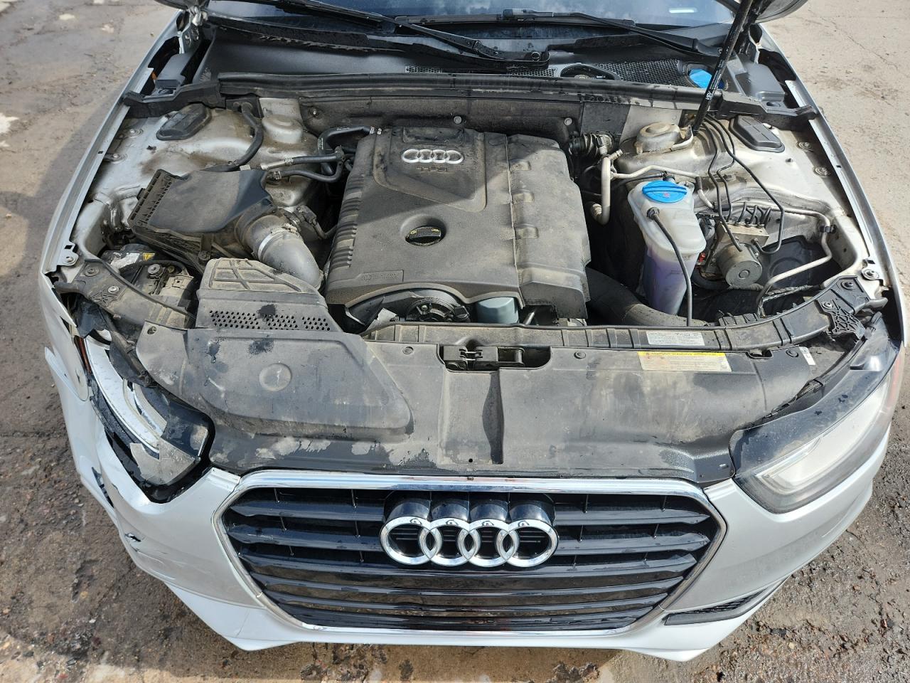 2014 Audi A4 Premium Plus VIN: WAUEFAFL4EN014986 Lot: 71046825