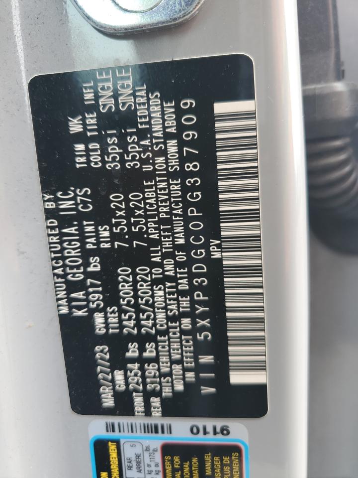 2023 Kia Telluride Ex VIN: 5XYP3DGC0PG387909 Lot: 67380355