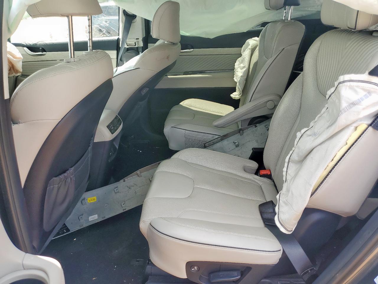 2024 Hyundai Palisade Calligraphy VIN: KM8R7DGE2RU687396 Lot: 67785515