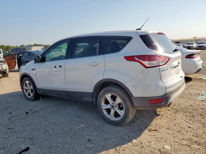 Паркетники FORD ESCAPE 2016 Белы