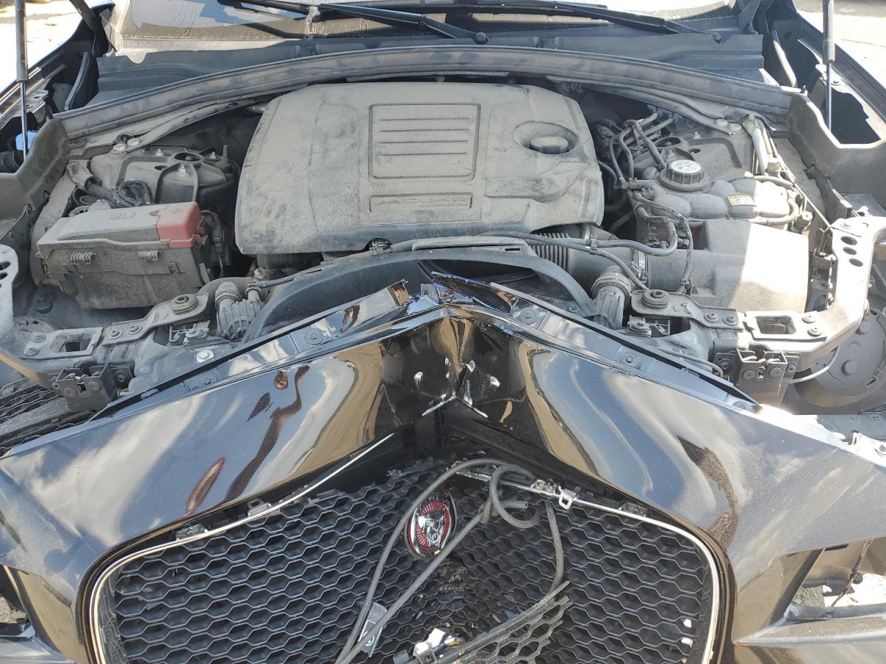 2019 Jaguar F-Pace Prestige VIN: SADCK2GX5KA391427 Lot: 68036835