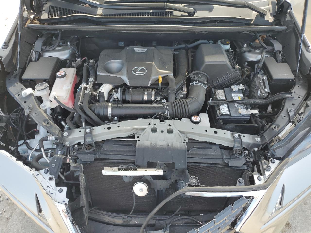 2021 Lexus Nx 300 Base VIN: JTJDARBZ4M2179648 Lot: 69112685