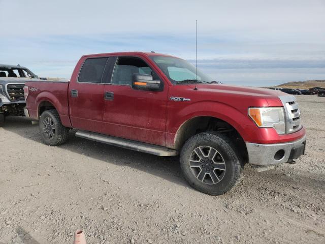 FORD F-150 2012 Burgundy