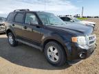 2009 FORD ESCAPE XLT   à vendre chez Copart AB - CALGARY