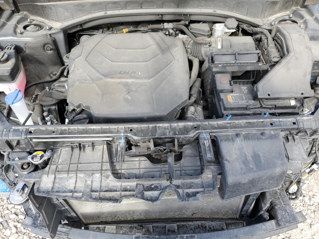 2024 Kia Telluride Ex VIN: 5XYP3DGC5RG442373 Lot: 69642925