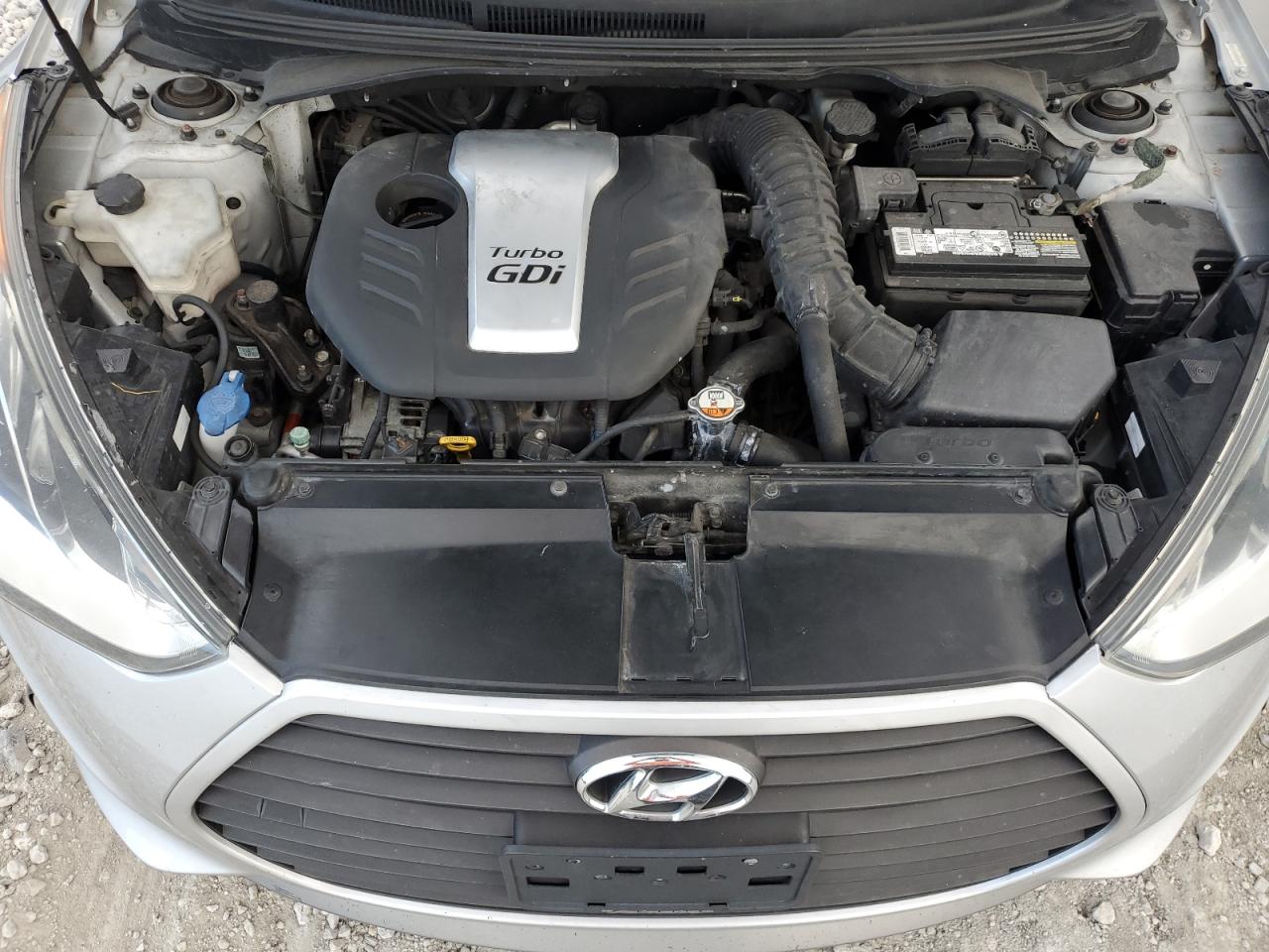 2013 Hyundai Veloster Turbo VIN: KMHTC6AE8DU123217 Lot: 69754965